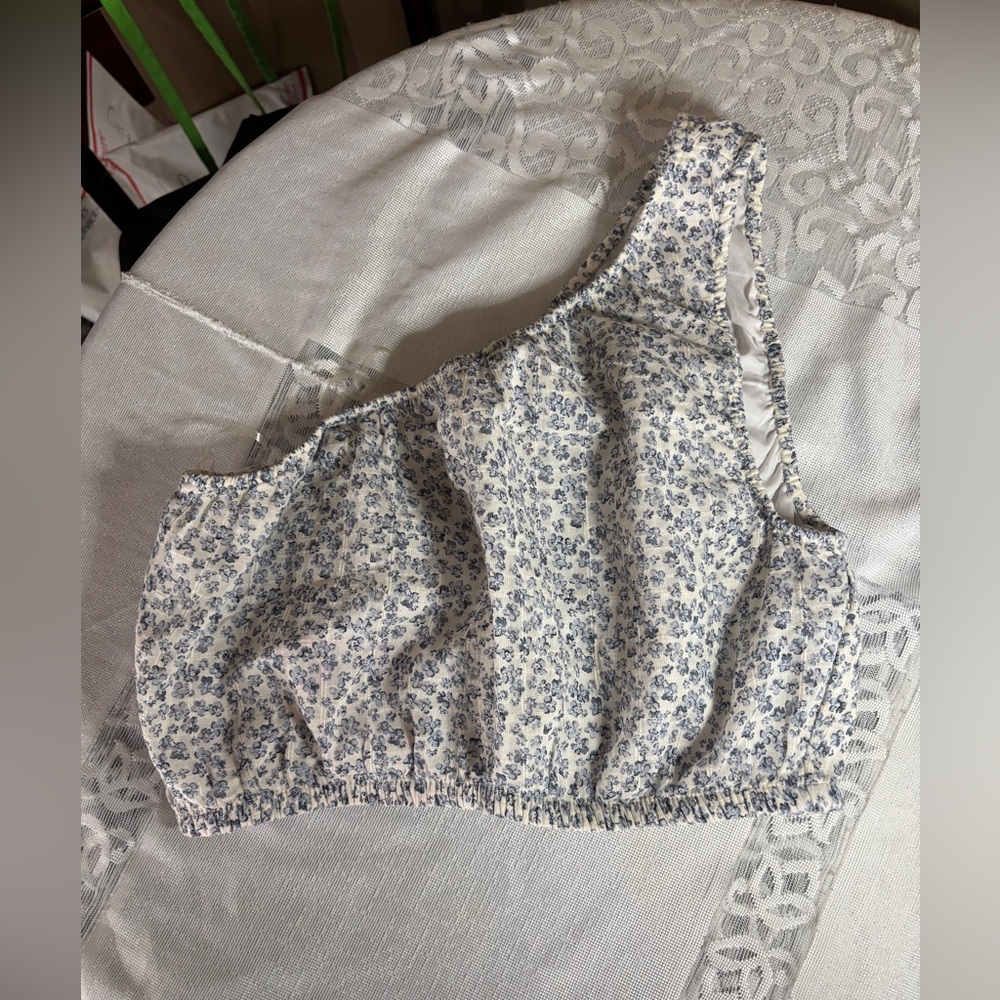 American Eagle Outfitters Blue Floral Crop Top